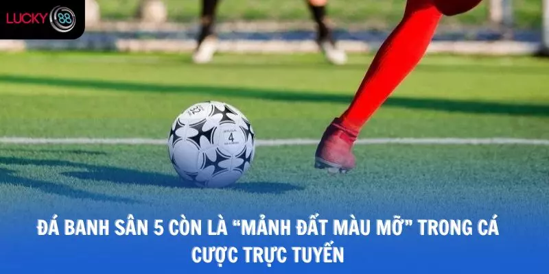 Đá banh sân 5 còn là “mảnh đất màu mỡ” trong cá cược trực tuyến