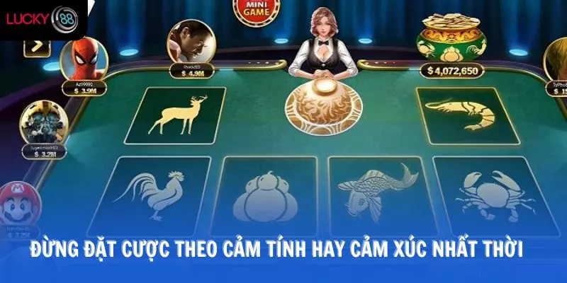 Đừng đặt cược theo cảm tính hay cảm xúc nhất thời