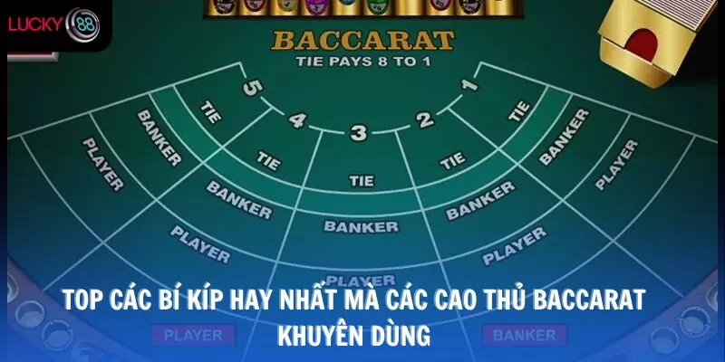 Top các bí kíp hay nhất mà các cao thủ Baccarat khuyên dùng